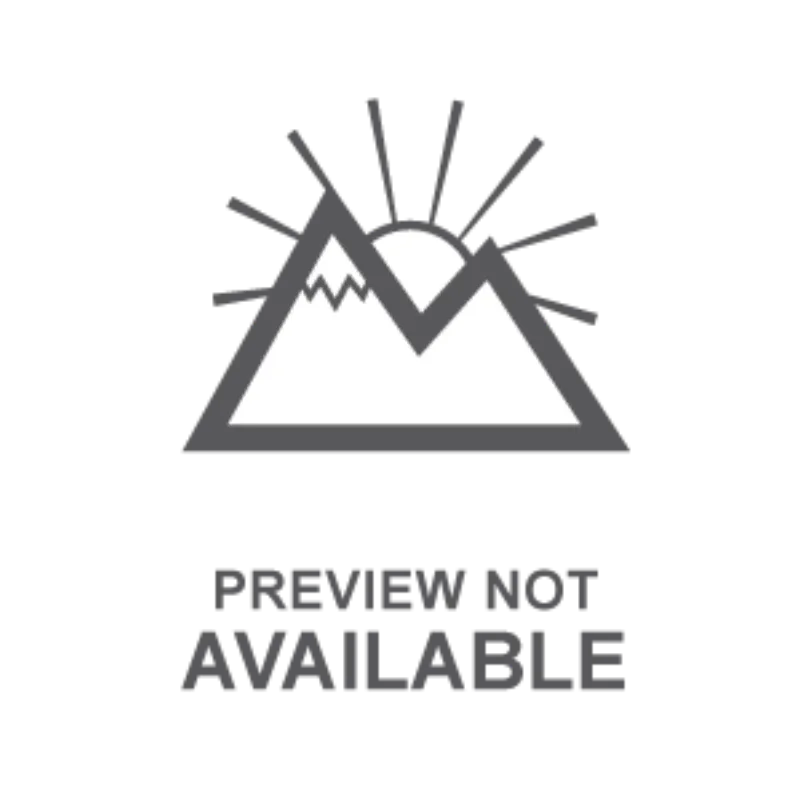 LiftMaster 893LM 3-Button Remote Control